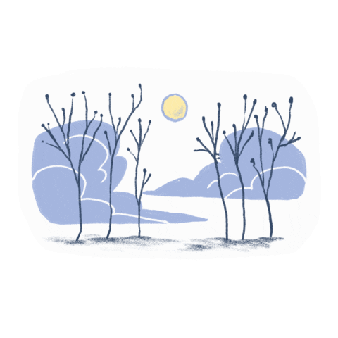 Illustration Sticker