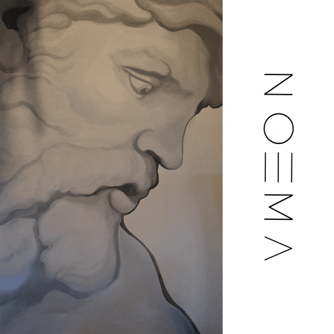 NoemaNY GIF