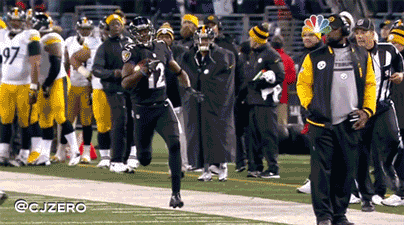 Image result for mike tomlin tripping gif
