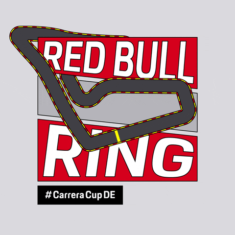 Red Bull Ring Racing GIF by Porsche Carrera Cup Deutschland