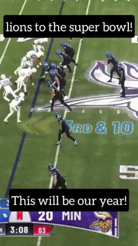 Detroit Lions Football GIF