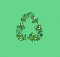 Go Green Climate Change GIF by Daisy Lemon