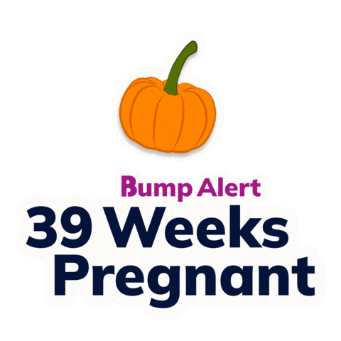 Pregnancy Expecting Sticker by The Bump