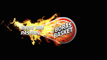 Logo Boras GIF by Borås Basket