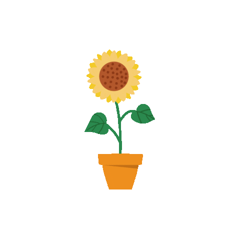 Sol Flor Sticker