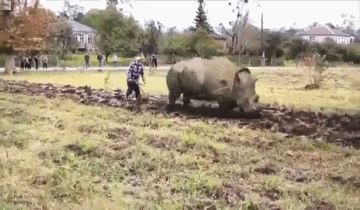 giphy.gif?cid=ecf05e47tymecsne1zm37rfghh