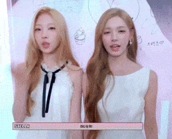Stella GIF
