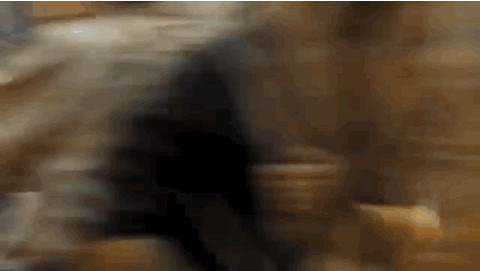 the secret fate of all life