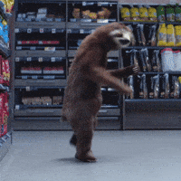 Cute-sloth GIFs - Get the best GIF on GIPHY