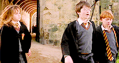 Emma Watson Friendship Gif Find Share On Giphy