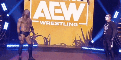 John Silver Wrestling GIF by AEWonTV