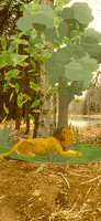 200.gif?cid=fc005b080ded8d77429bb3681c03ef800690e7fd76a1e9d5&rid=200.gif&ct=g