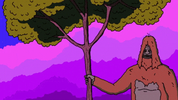 Sassy Sunset GIF