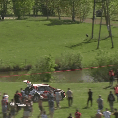 FIA-ERC rally dont care skoda never give up GIF