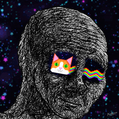Sad Cat GIF by PEEKASSO