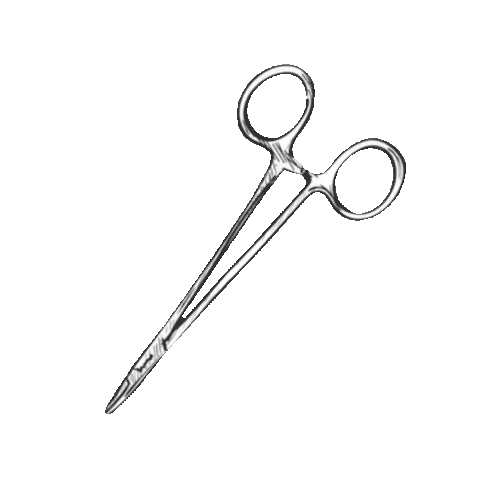 Fmdul Sticker by JornadasFMDUL