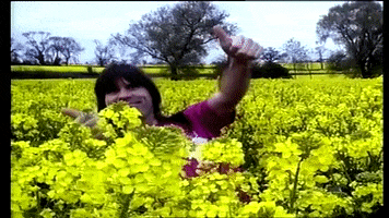 Ok GIF
