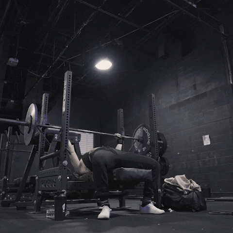 Bench Press Fitness GIF by GYMREAPERS