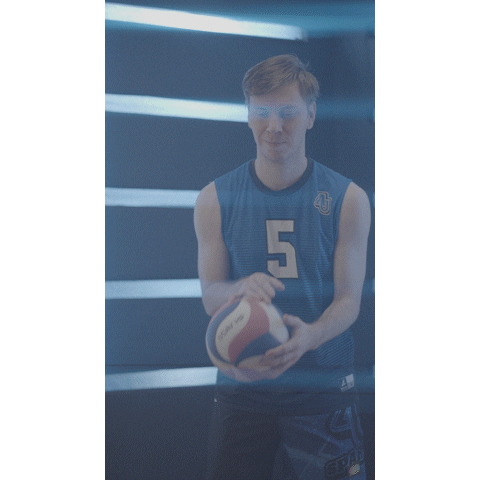 Aumensvolleyball Sticker by Aurora University Men's Volleyball
