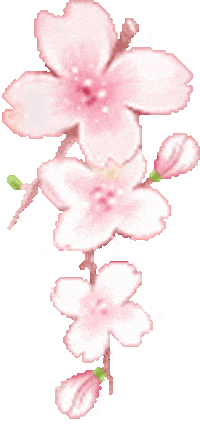 Sparkling Cherry Blossom Sticker