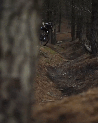 GIF by Tienda Ride