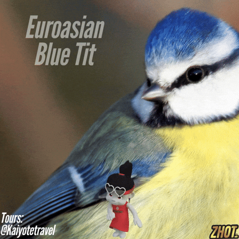 GIF by Zhotcita