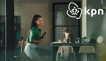 KPNWebcare cat dancing wifi kpn GIF