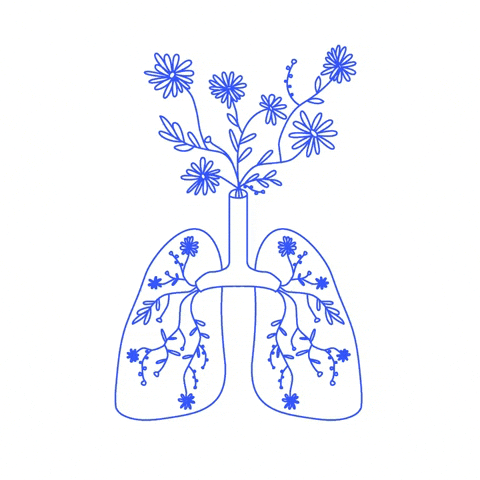 Deep Breath Breathing GIF by Zocalo Health