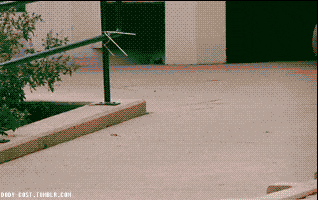 giphy.gif