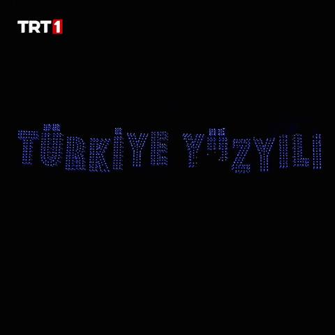 Night Lights GIF by TRT