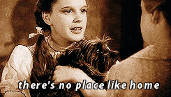 Wizard Of Oz Toto GIF - Find & Share on GIPHY