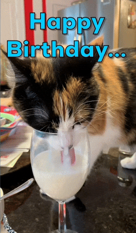 Happy Birthday Cat GIF by REBEKAH - Find & Share on GIPHY Happy Birthday Cat GIF by REBEKAH - Find & Share on GIPHY