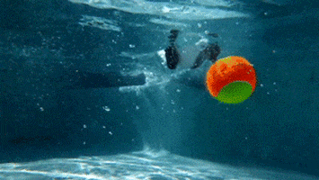 fetch swimming pool GIF by HuffPost