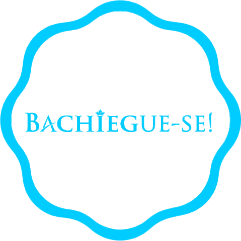 Bachiega Novidades Sticker