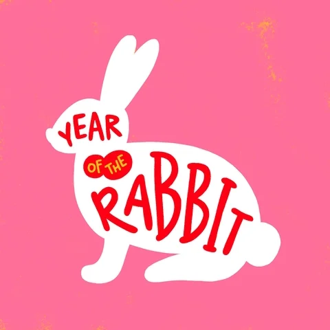 Chinese New Year Rabbit GIF