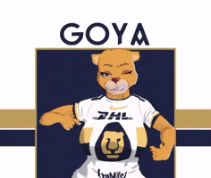 Mexico Puma GIF