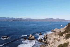 San Francisco Water GIF by Yevbel