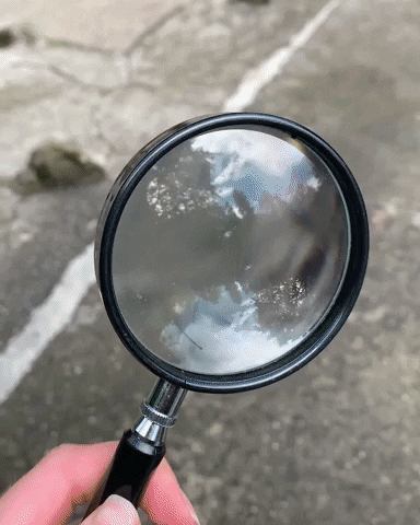Lupe Magnifyingglass GIF by Natur- und Tierpark Goldau