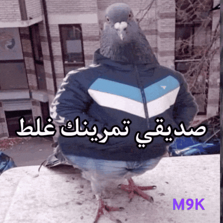 Sport Gym GIF