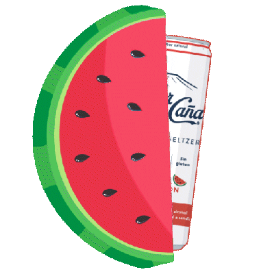 Watermelon Seltzer Sticker by flordecana