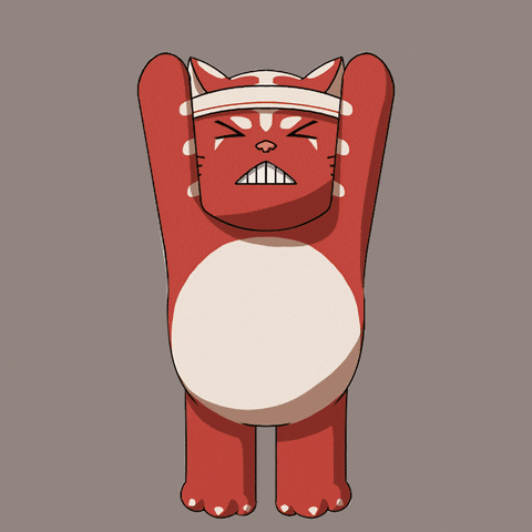 Angry Cat GIF by Kitaro World