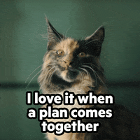 200w.gif?cid=6c09b9524nkw2dap92v0pozoww8