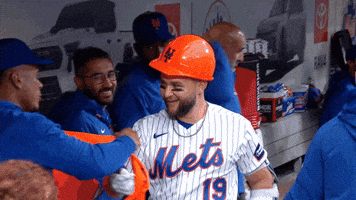 Celebrate Major League Baseball GIF by New York Mets