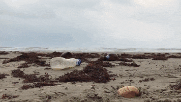 Plasticpollution Oceancleanup GIF by Zeal Optics
