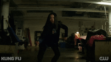 Ready To Fight Tv Series GIF by CW Kung Fu