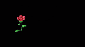 Ø§ÙÙÙ Ø§ÙØ¨Ø± GIF