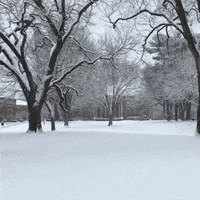 snow snowflakes GIF by Wheaton College (MA)