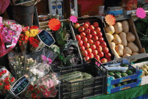 barriefoster pembrokeshire st davids cathedral porthclais bridge innovation centre GIF