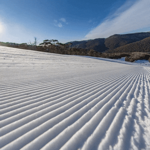 GIF by Thredbo