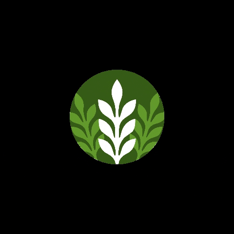 daskalakisfamily GIF